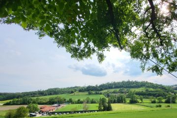 All'attuale struttura si aggiungono nuovi 8000 mq di area verde 